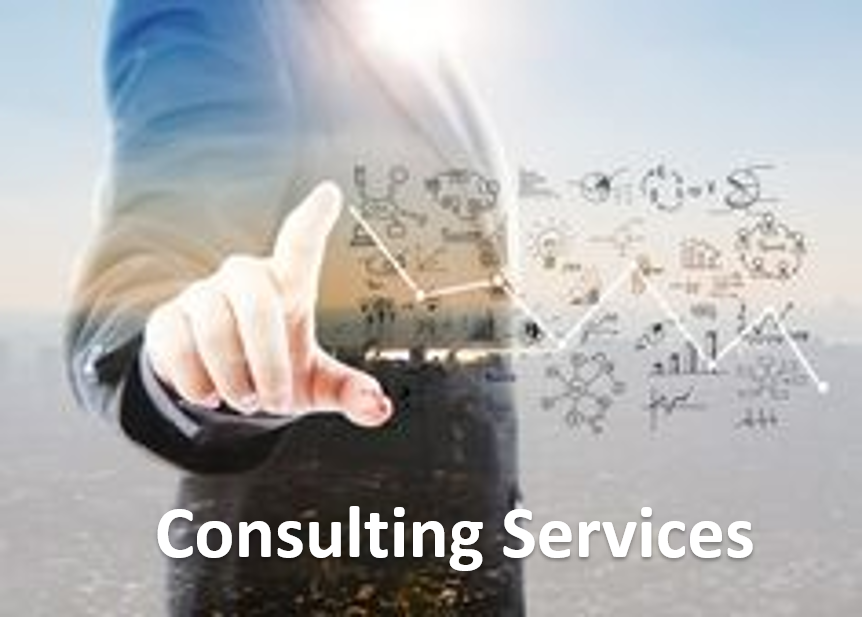 Consulting Services